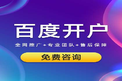 案例研究：SEM关键词优化效果对比